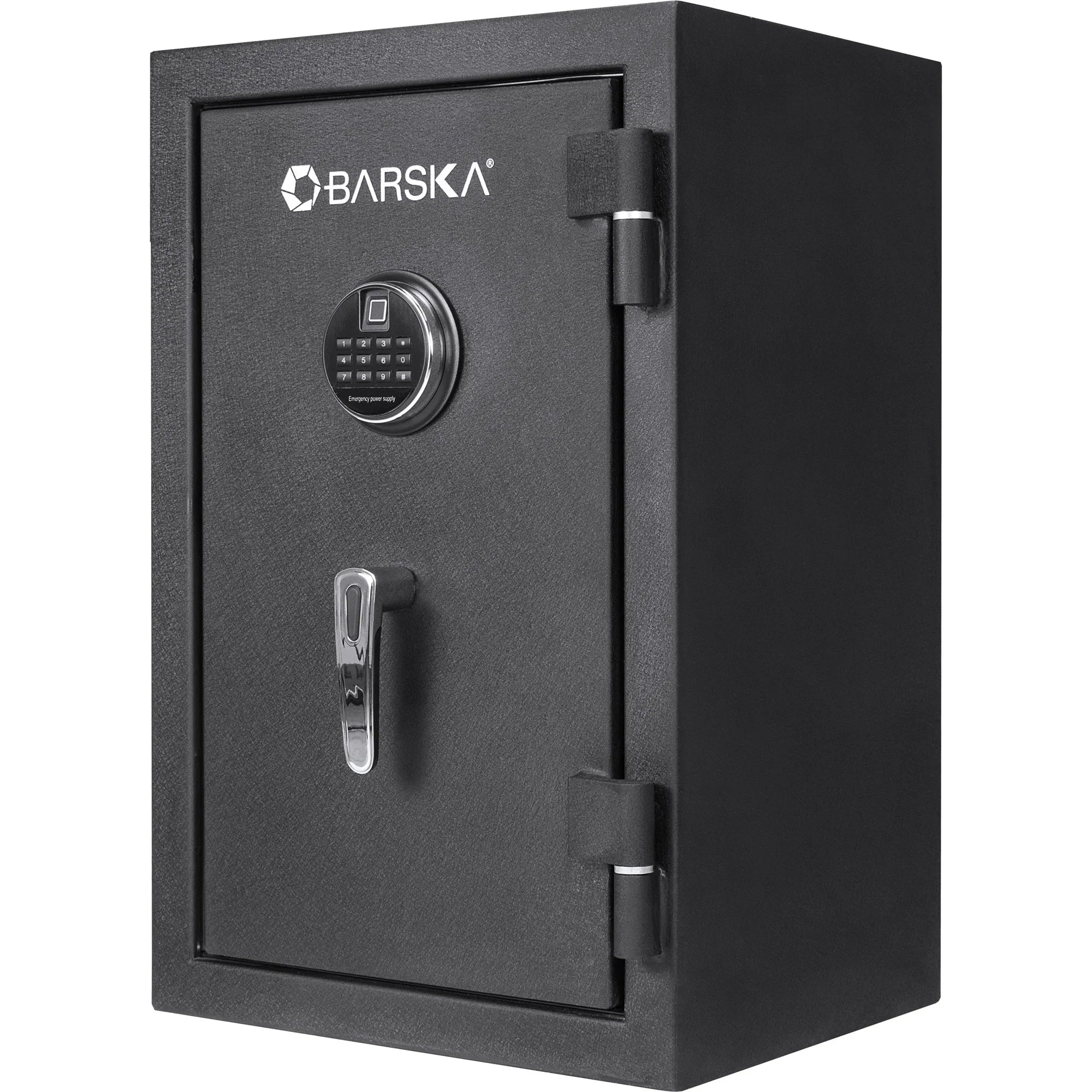 2.02 Cu. ft Biometric Keypad Fire Resistant Safe