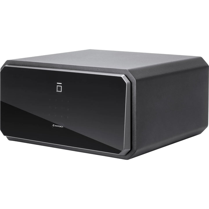 Obsidian 1.09 Cu. ft Touchscreen Biometric Security Safe