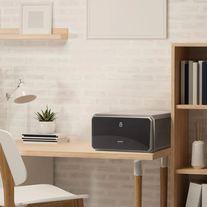 Obsidian 1.09 Cu. ft Touchscreen Biometric Security Safe