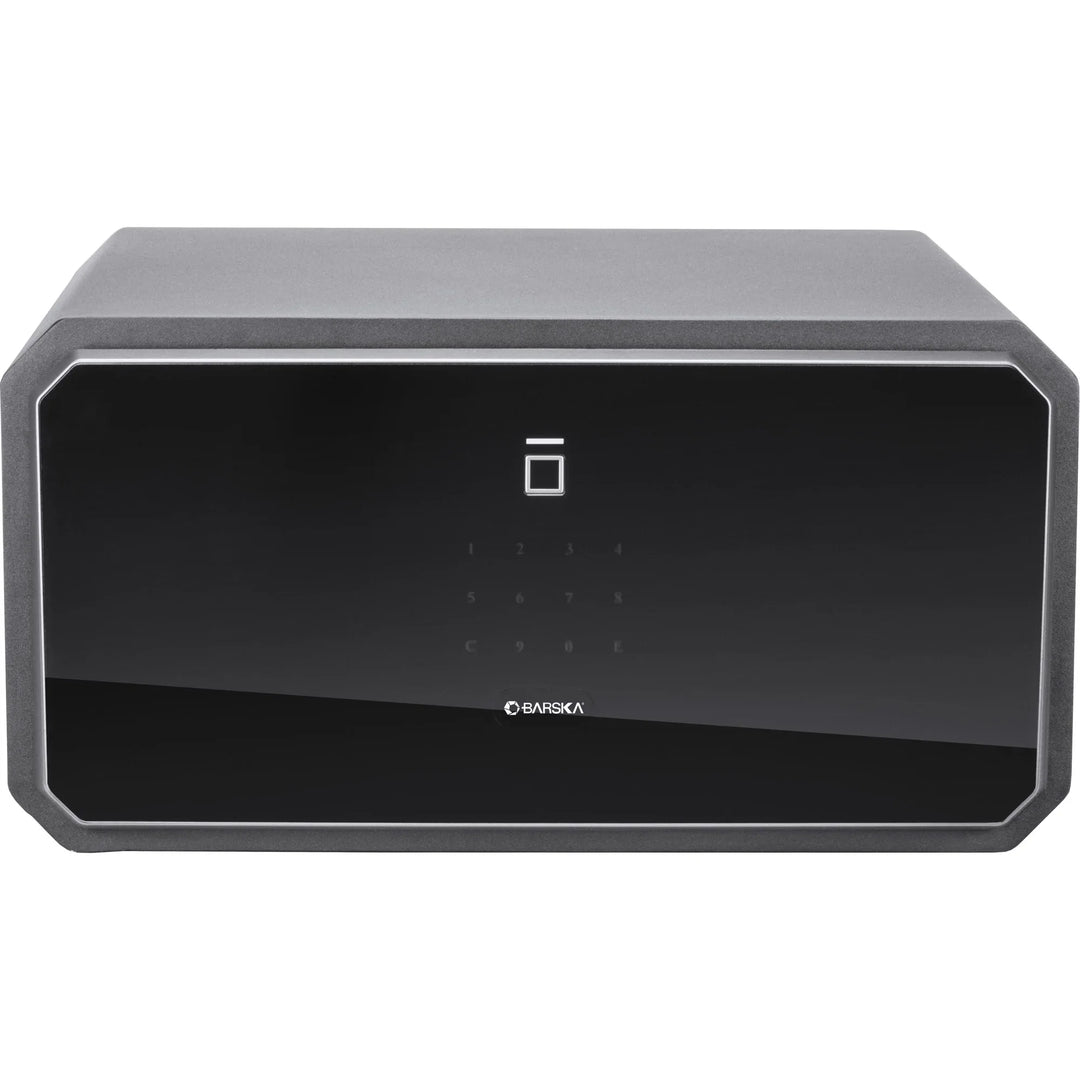 Obsidian 1.09 Cu. ft Touchscreen Biometric Security Safe