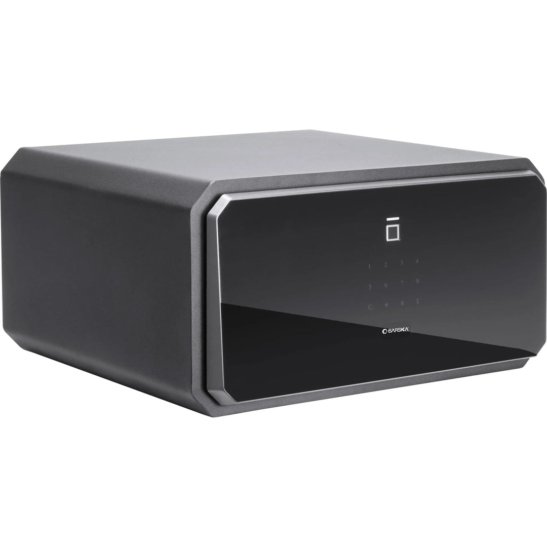 Obsidian 1.09 Cu. ft Touchscreen Biometric Security Safe