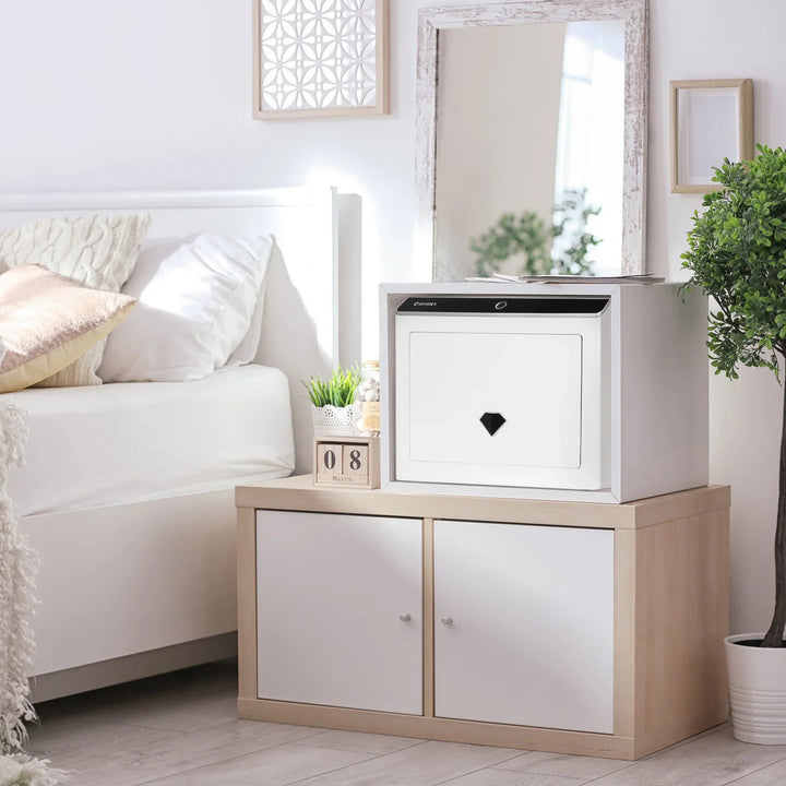 Diamond 0.92 Cu. ft Touchscreen Biometric Keypad Security Safe