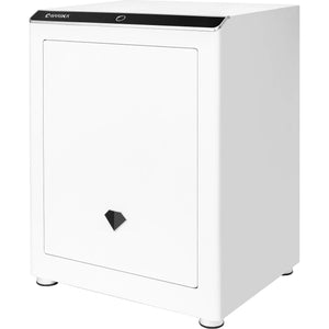 Diamond 2.4 Cu. ft Touchscreen Biometric Keypad Security Safe