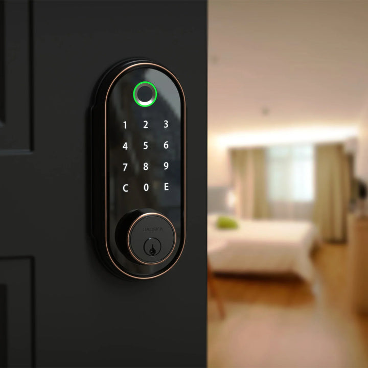 Biometric Keypad Door Lock